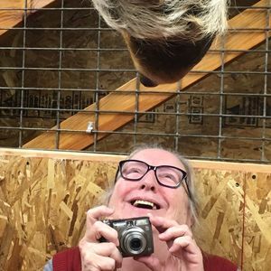 Meet your Posher, Judith